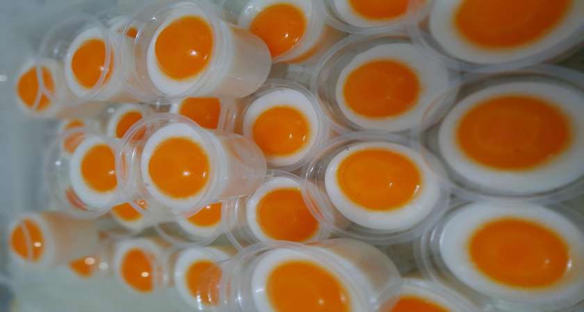Puding telur mata sapi