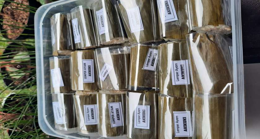 Lemper